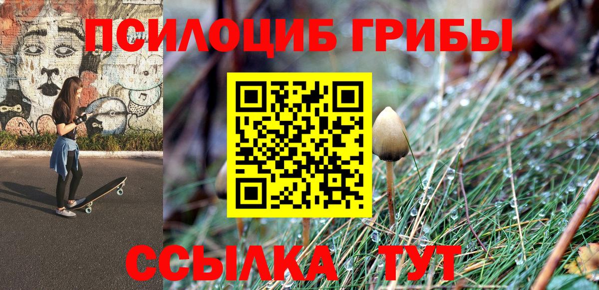 Галлюциногенные грибы Psilocybe  Вход с VPN  Кисловодск 