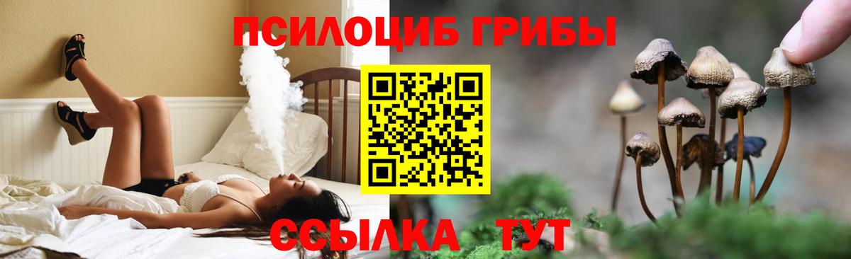 Кисловодск  ГАШ  Каннабис  НБОМе  Меф МЯУ МЯУ   Вход с VPN  КЕТАМИН  COCAIN 